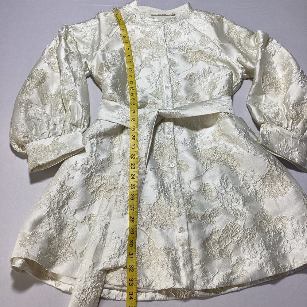 Ellison Shimmer Jacquad Dress in Cream - Picture 11 of 13